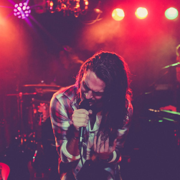 pexels-photo-352611 pexels-photo-352611